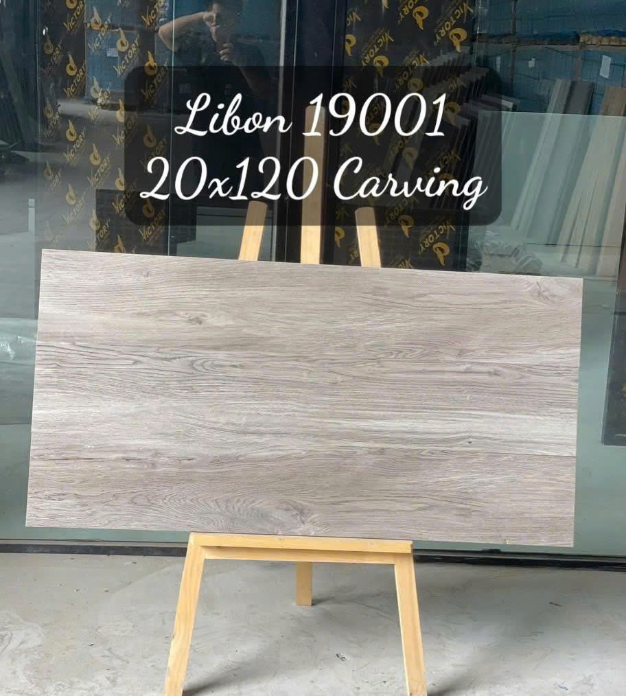 Ảnh sản phẩm 19001