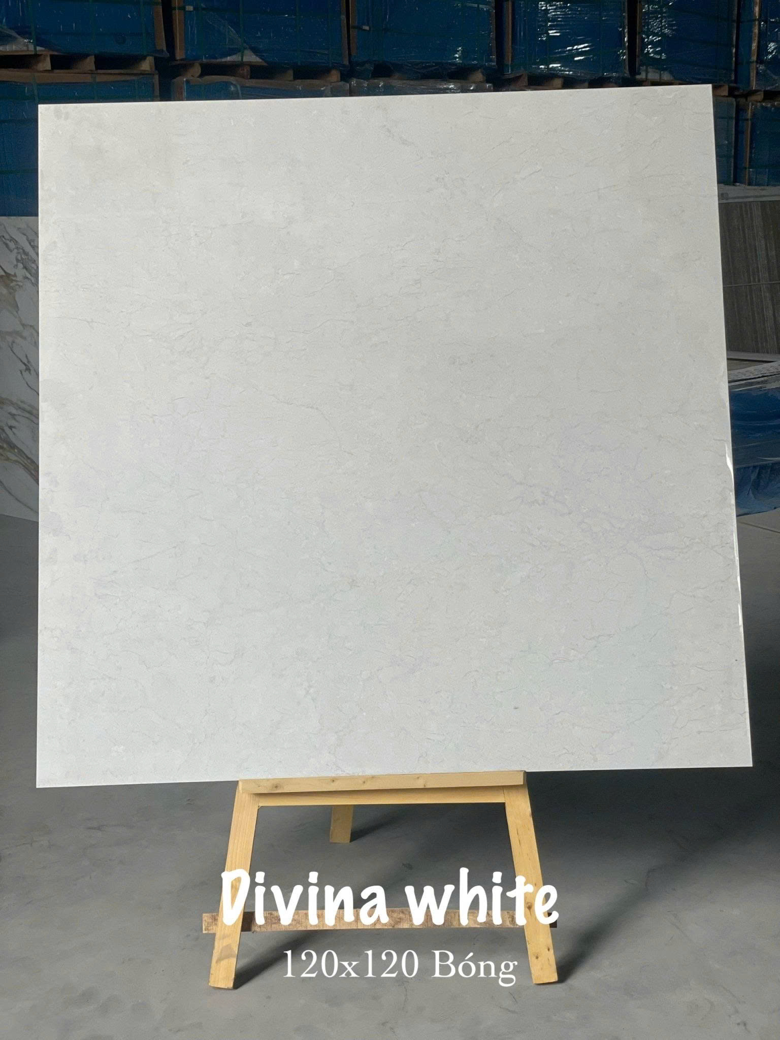Ảnh sản phẩm Divina White