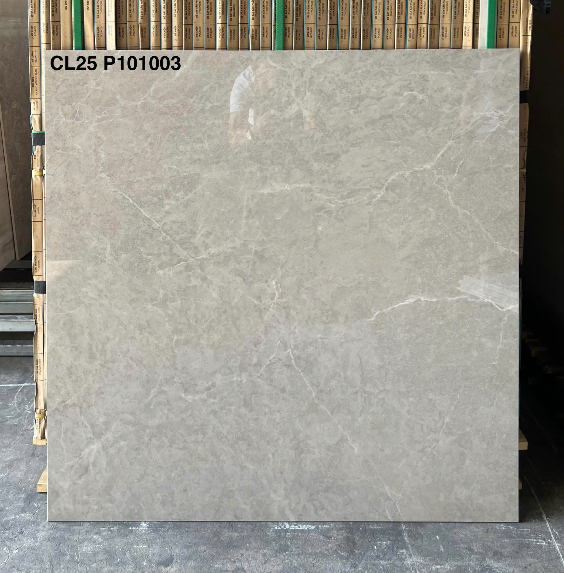 Ảnh sản phẩm Gạch men bóng xương granite CL25-P101003