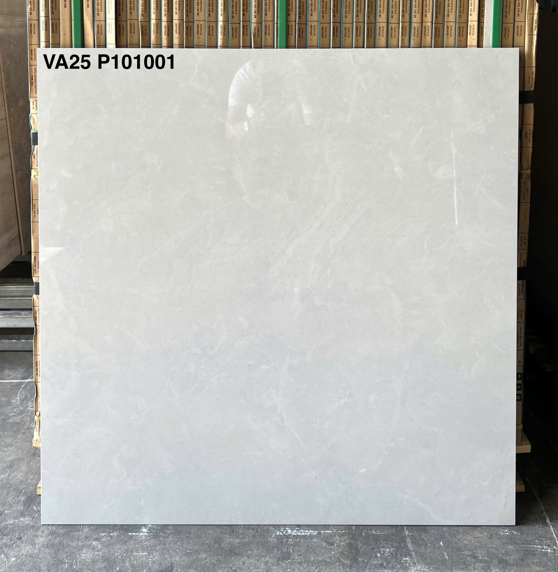Ảnh sản phẩm Gạch men bóng xương granite VA25-P101001
