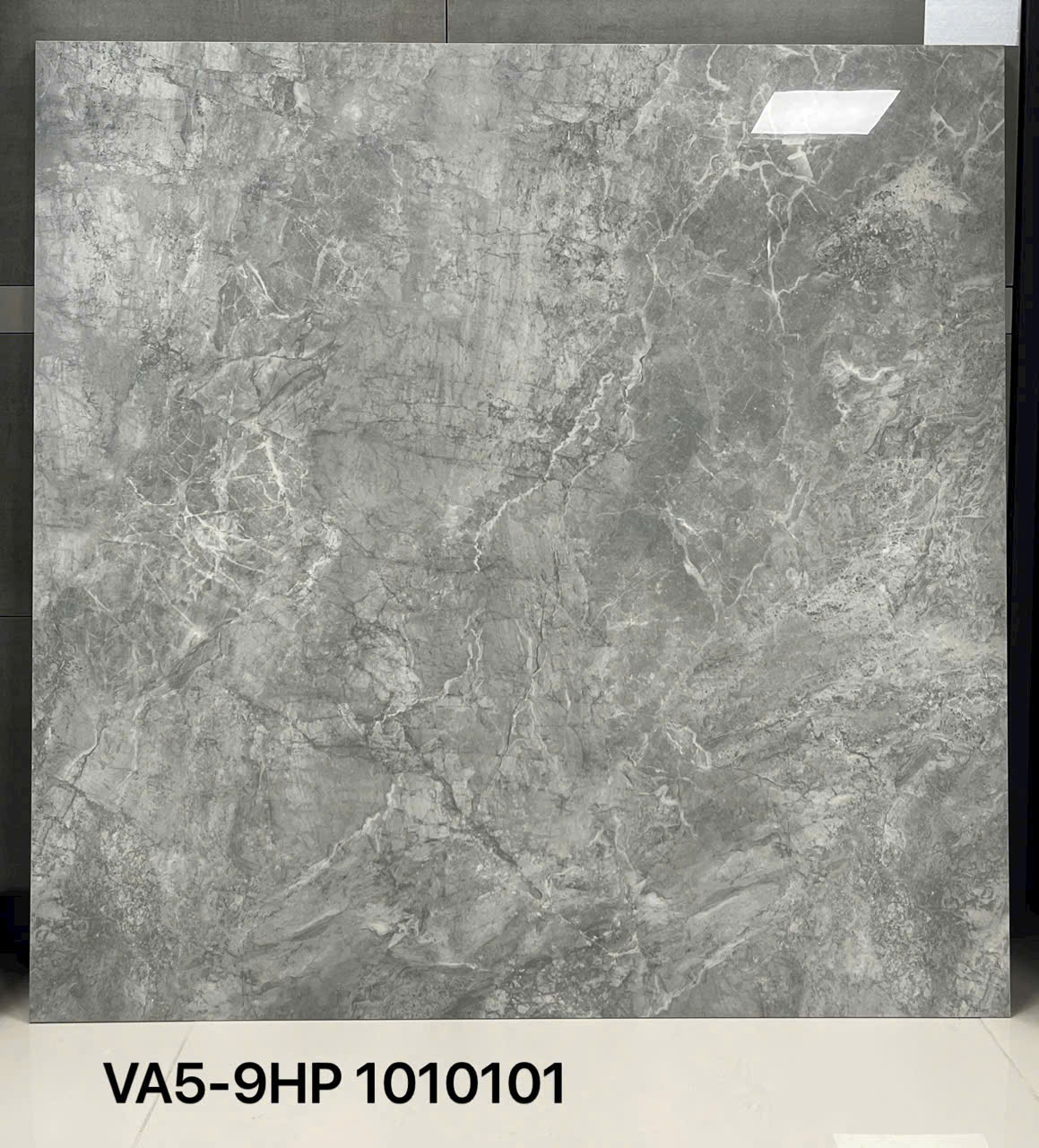 Ảnh sản phẩm Gạch men bóng xương granite  VA5-9GP1010101