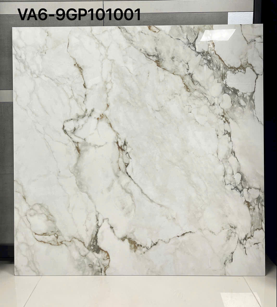 Ảnh sản phẩm Gạch men bóng xương granite  VA6-9GP101001